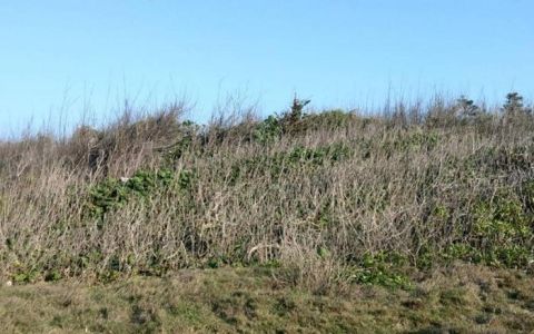 新產品可節省人力/時間/金錢並且環保護樹的水源寶育樹盆, 將於8/31~9/2 在 臺灣智慧農業週 盛大展出.